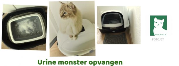 Urine monster opvangen | Voor Kat en Co