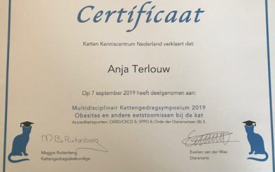 Kat die niet eet