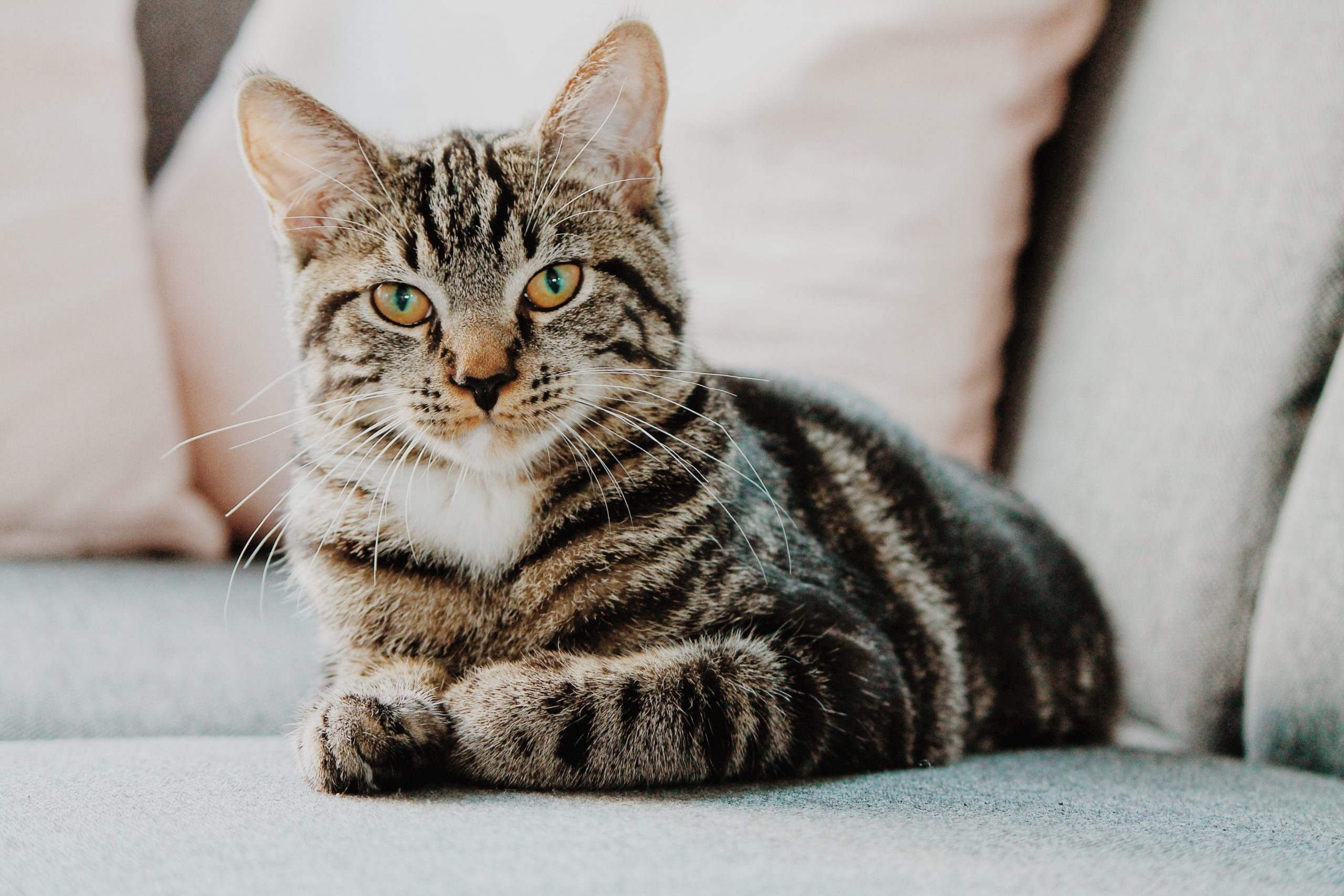 erik-jan-leusink-IbPxGLgJiMI-unsplash (1)