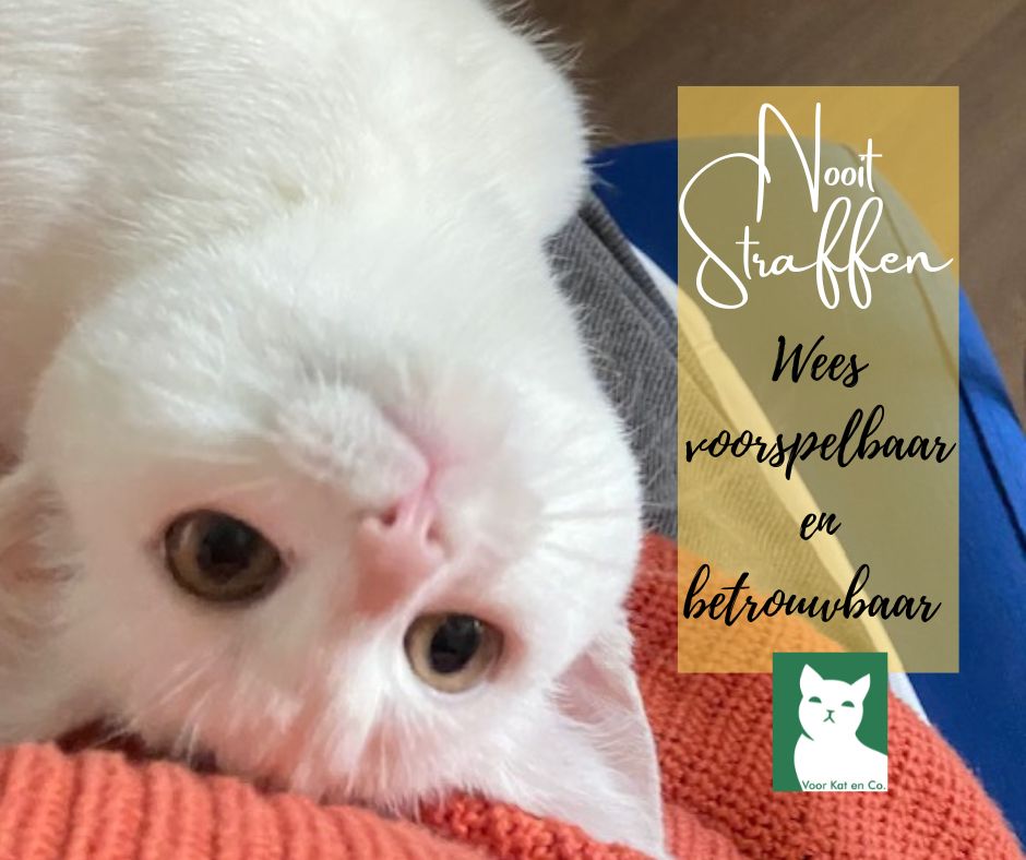 Kattenquote niet straffen