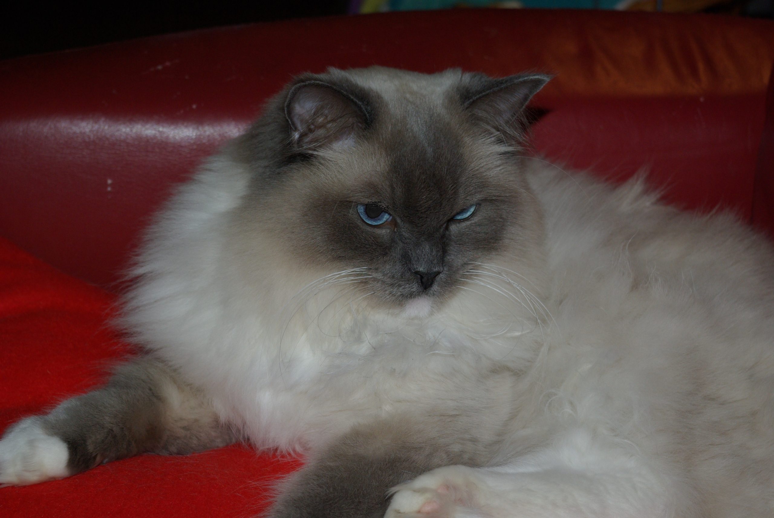 billy